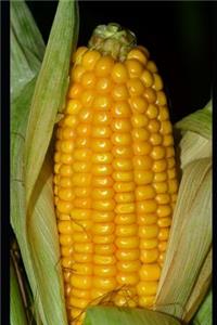 Glorious Corn on the Cob Journal