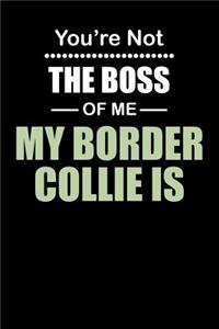 You're not the Boss of Me My Border Collie Is