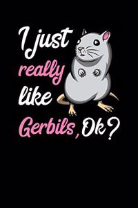 I Just Really Like Gerbils, Ok?