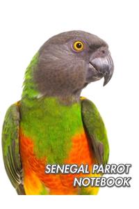 Senegal Parrot Notebook