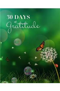 30 Days of Gratitude