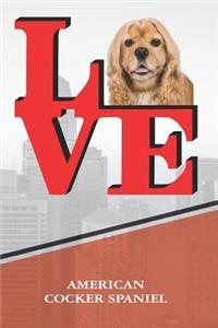 American Cocker Spaniel