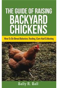 The Guide Of Raising Backyard Chickens