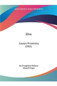 Ziva