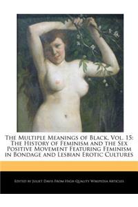 The Multiple Meanings of Black, Vol. 15