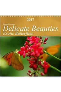 Delicate Beauties Exotic Butterflies 2017