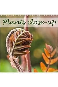 Plants Close-Up 2018