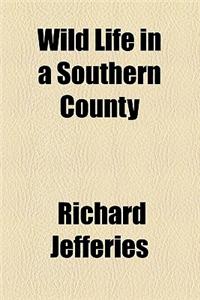Wild Life in a Southern County