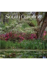 South Carolina Wild & Scenic 2019 Square