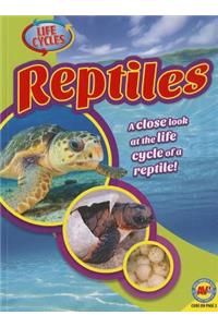 Reptiles