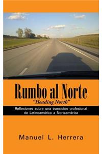 Rumbo al Norte: Reflexiones sobre una transición profesional de Latinoamérica a Norteamérica