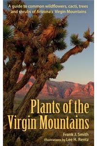 Plants of the Virgin Mountains