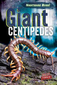 Giant Centipedes