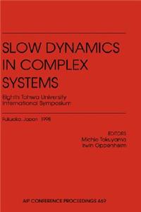 Slow Dynamics in Complex Systems