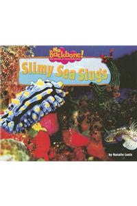 Slimy Sea Slugs
