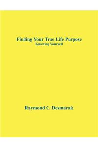 Finding Your True Life Purpose