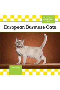 European Burmese Cats