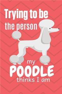 Trying to be the person my Poodle thinks I am