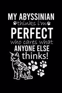 My Abyssinian Thinks I'm Perfect Who Cares What Anyone Else Thinks