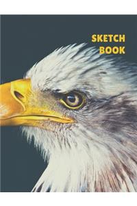 Sketch Book