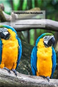 Composition Notebook