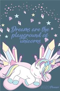 Dreams are the playground of unicorns 2020 Planner