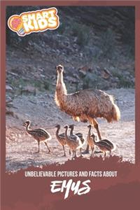 Unbelievable Pictures and Facts About Emus