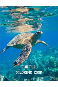 Turtle coloring book