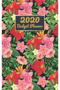 2020 Budget Planner