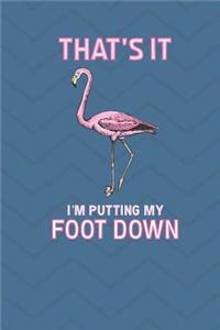 That's It I'm Putting My Foot Down Flamingo Journal Notebook