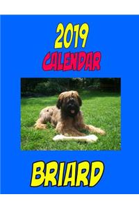 2019 Calendar Briard