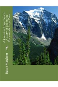 A Countess from Canada A Story of Life in the Backwoods