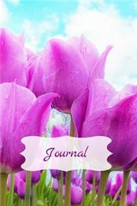 Journal