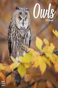 Owls 2023 Wall Calendar