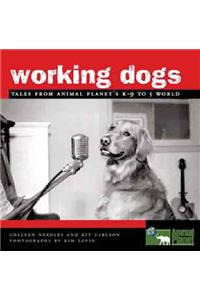 Working Dogs: Tales from Animal Planet's K-9 to 5 World