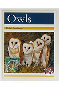 Owls PM Non Fiction Animal Facts Level 22 Nocturnal Animals Gold (Pm Animal Facts)