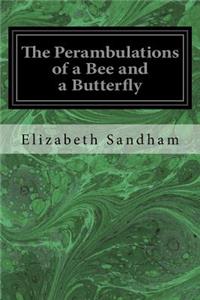 Perambulations of a Bee and a Butterfly