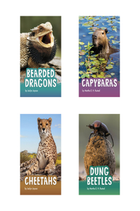 Animals