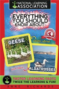 Everything You Should Know About