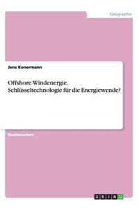Offshore Windenergie. Schlüsseltechnologie für die Energiewende?
