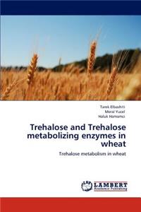 Trehalose and Trehalose metabolizing enzymes in wheat