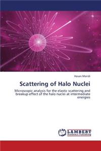 Scattering of Halo Nuclei