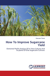 How To Improve Sugarcane Yield