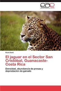 jaguar en el Sector San Cristóbal, Guanacaste-Costa Rica