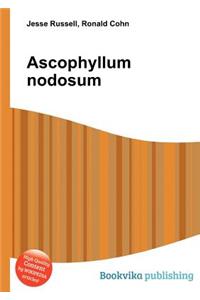 Ascophyllum Nodosum