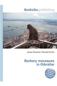 Barbary Macaques in Gibraltar
