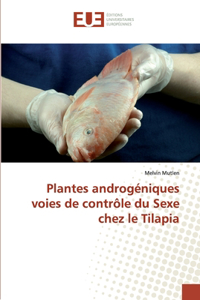 Plantes androgéniques voies de contrôle du Sexe chez le Tilapia