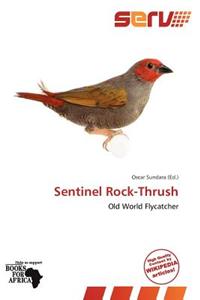 Sentinel Rock-Thrush