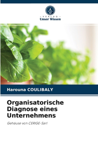 Organisatorische Diagnose eines Unternehmens