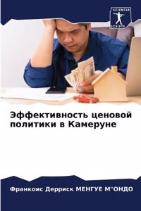 Эффективность ценовой политики в Камеру
